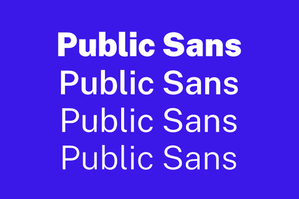 Public Sans效果预览